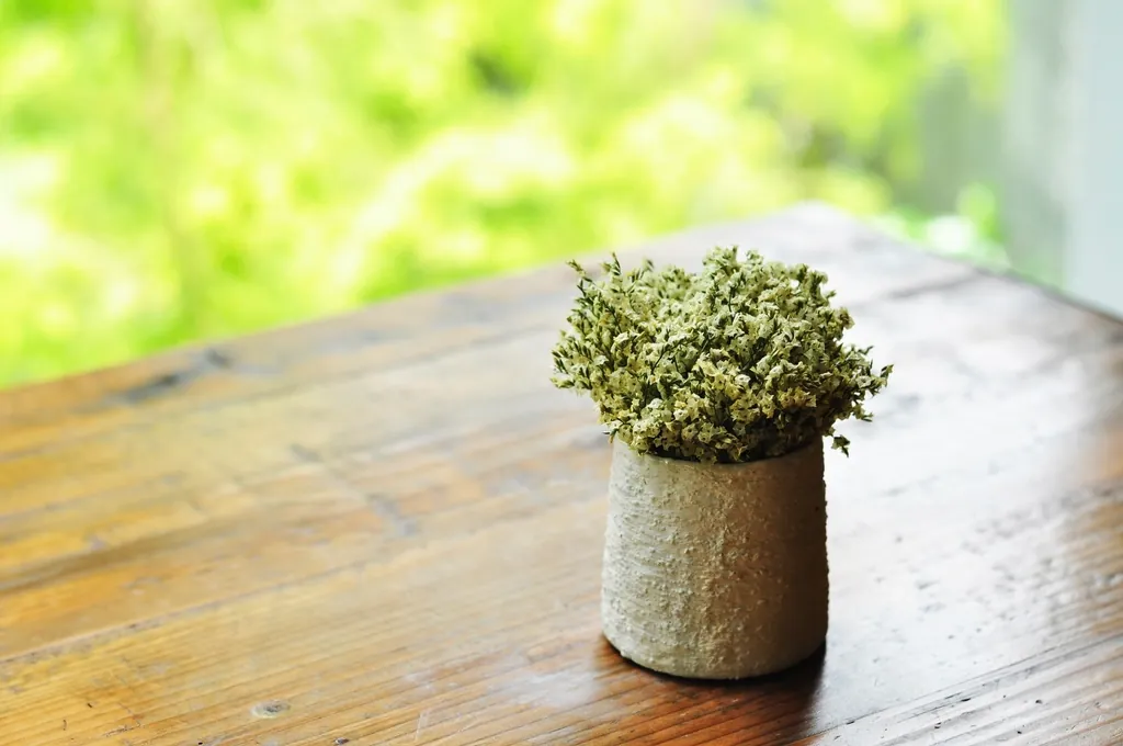 A small potted plant in a handmade ceramic pot resting on a warm wooden table